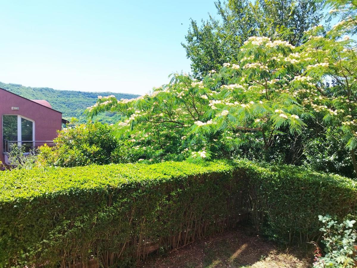 Green, Quiet And Beautiful 1 Apartment Kavarna Bagian luar foto